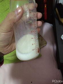 印尼巴士模拟器国产车辆模组 