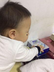 印尼巴士模拟器国产车辆模组 