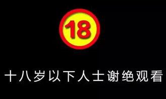 印尼巴士模拟器国产车辆模组 